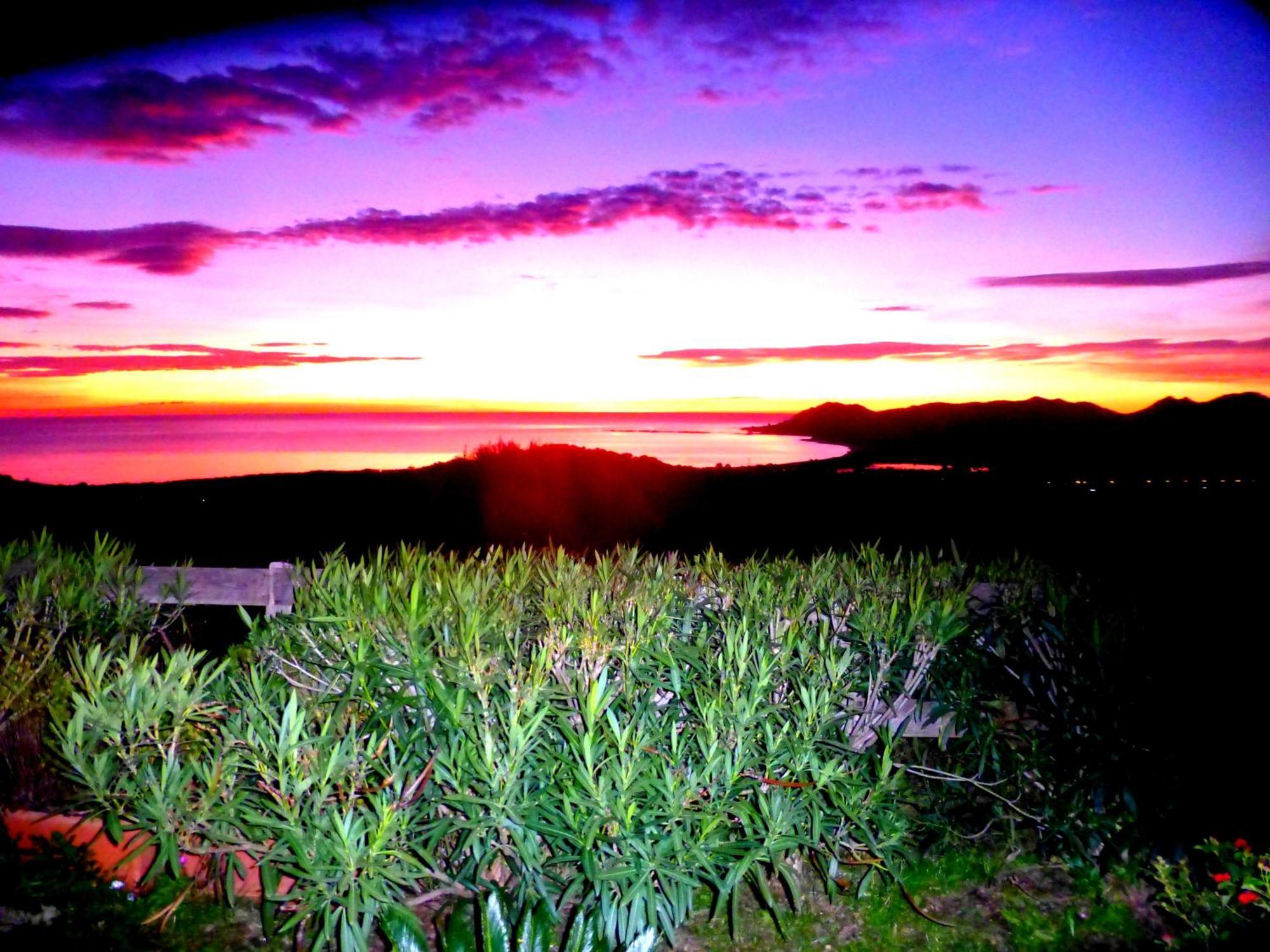 Comino Alto Agriturismo E Appartamenti Siniscola Luaran gambar