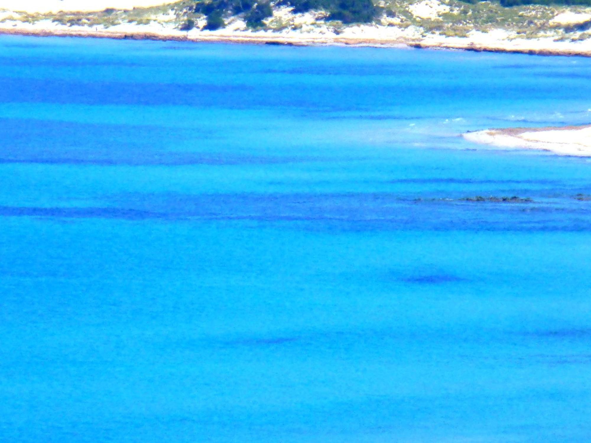 Comino Alto Agriturismo E Appartamenti Siniscola Luaran gambar