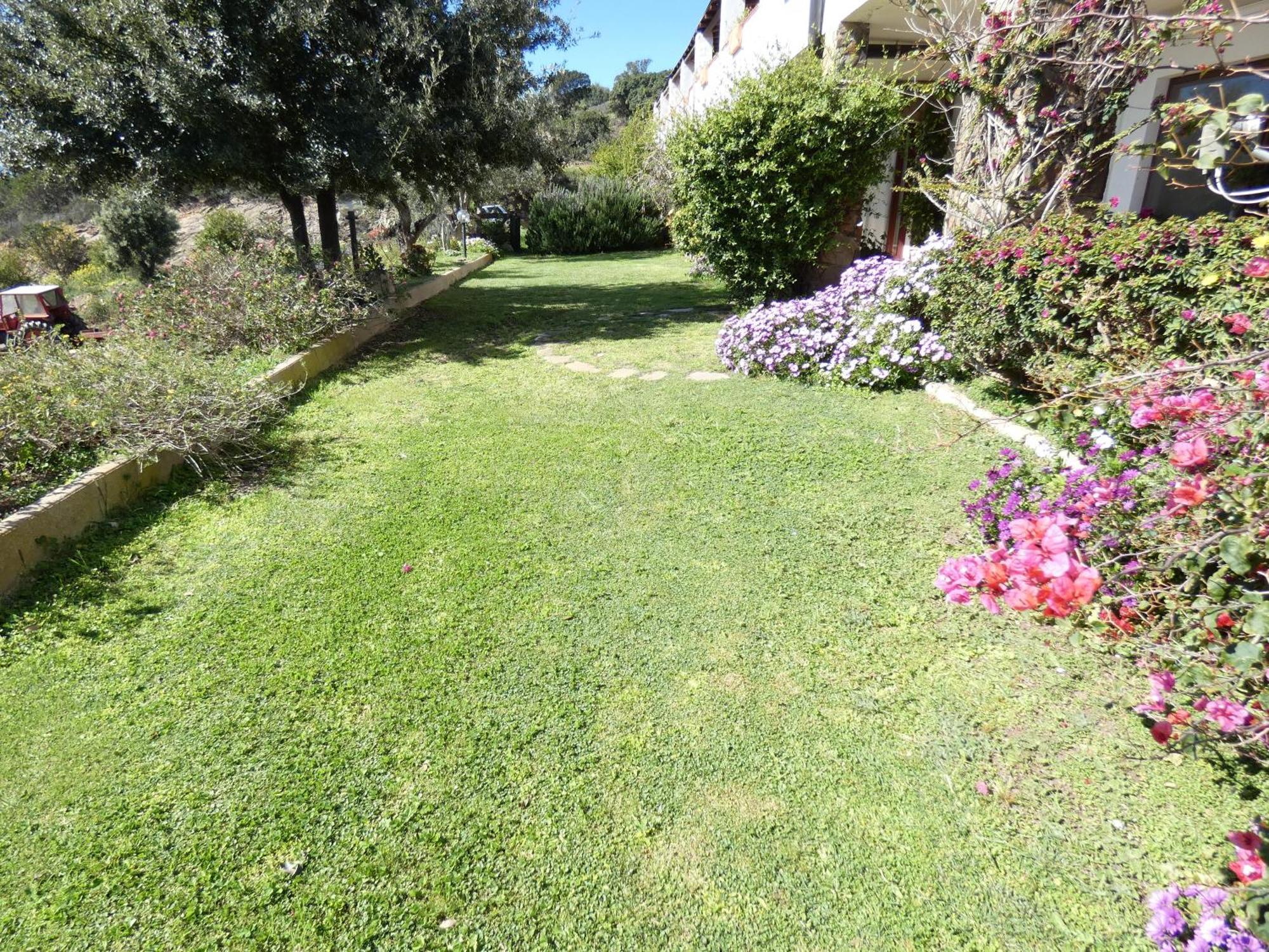 Comino Alto Agriturismo E Appartamenti Siniscola Luaran gambar
